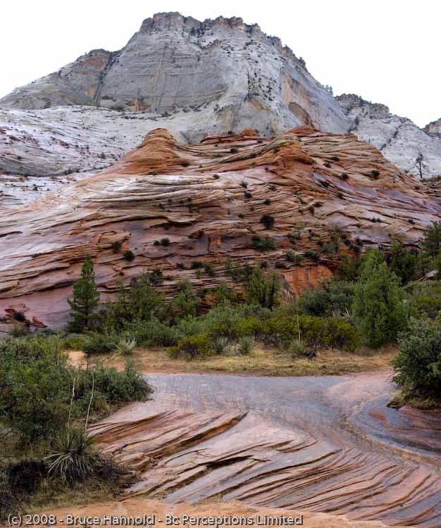 ZION'S MORNING